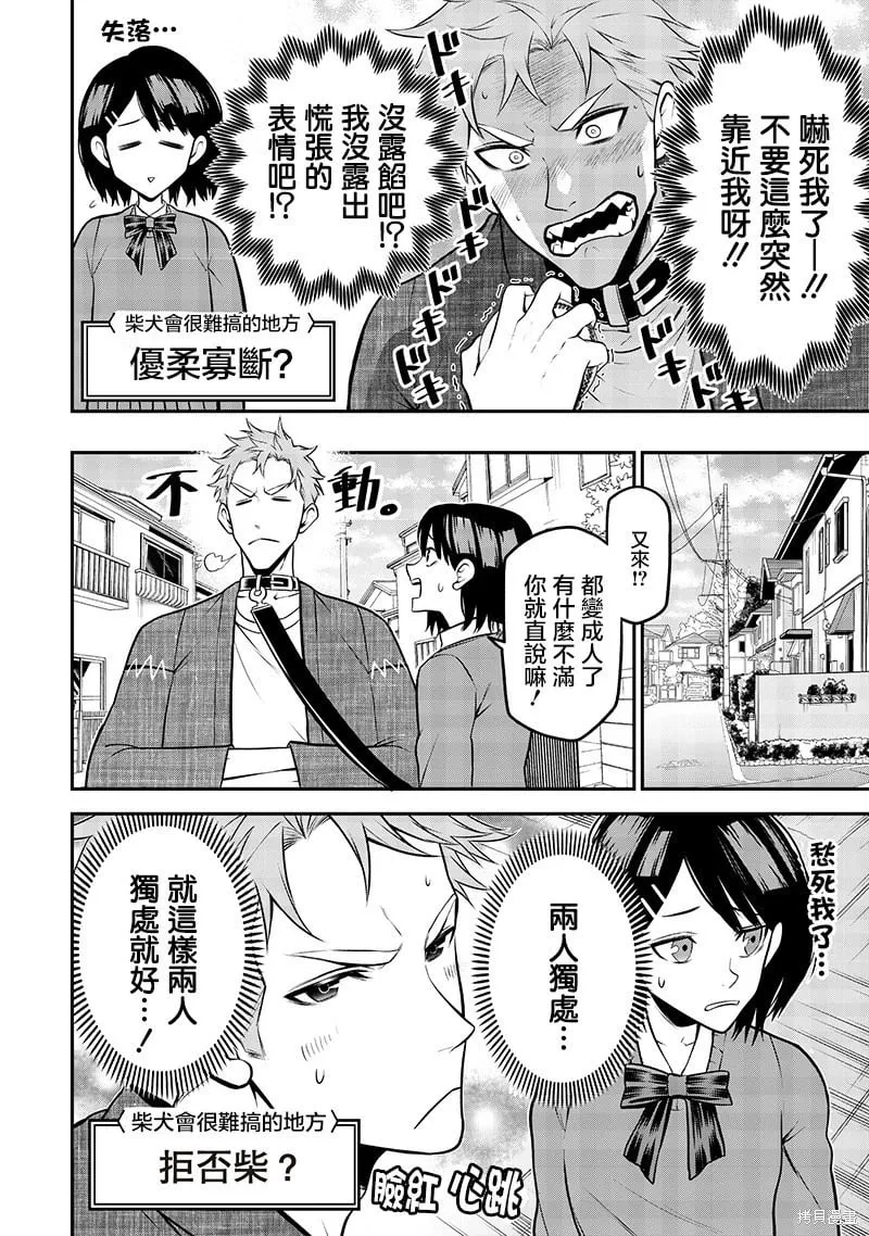 柴犬篇 第8页
