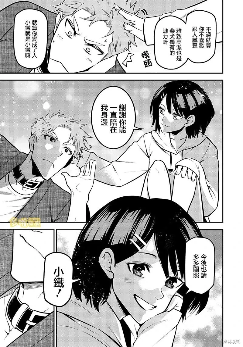 柴犬篇 第11页