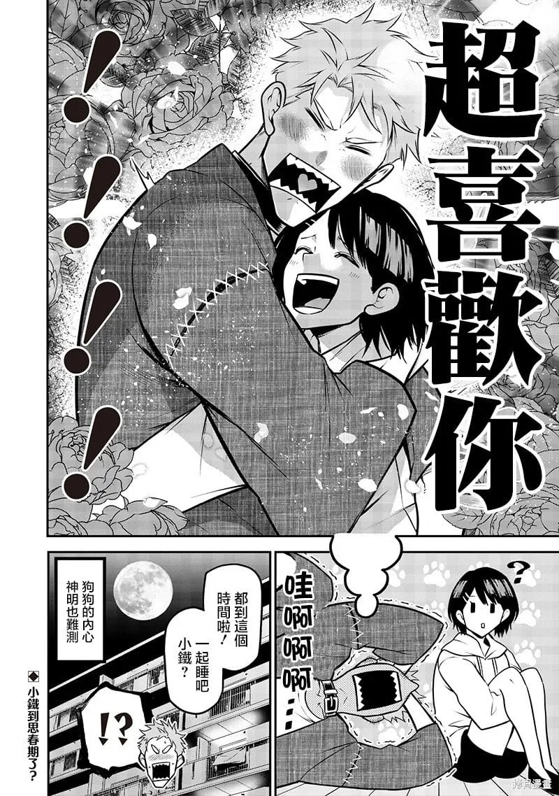 柴犬篇 第12页