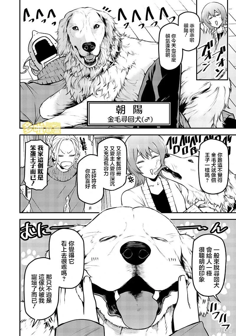 金毛篇 第4页