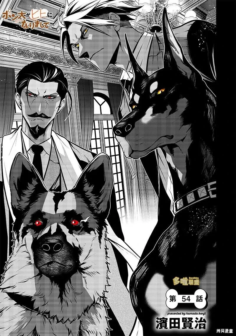 看家犬Vs警犬 第2页