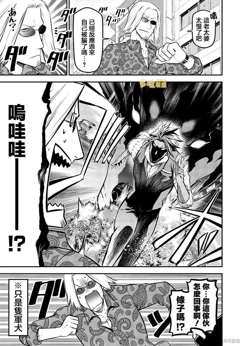 看家犬Vs警犬 第12页