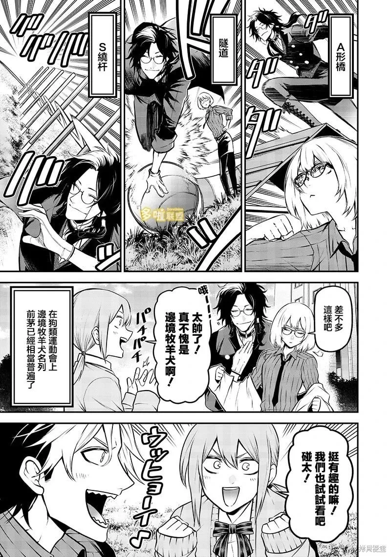边牧篇 第11页
