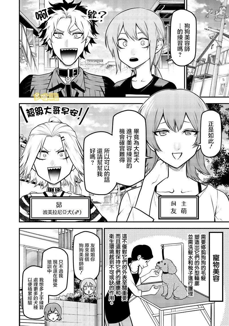 狗狗美容师修行篇 第2页