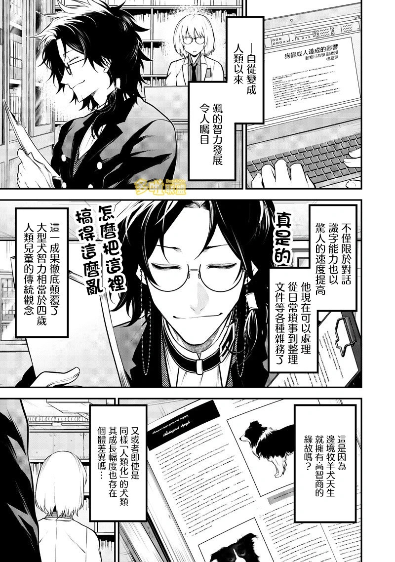边牧研究报告篇 第5页