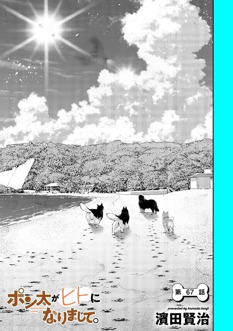 第一次去海边篇 第1页