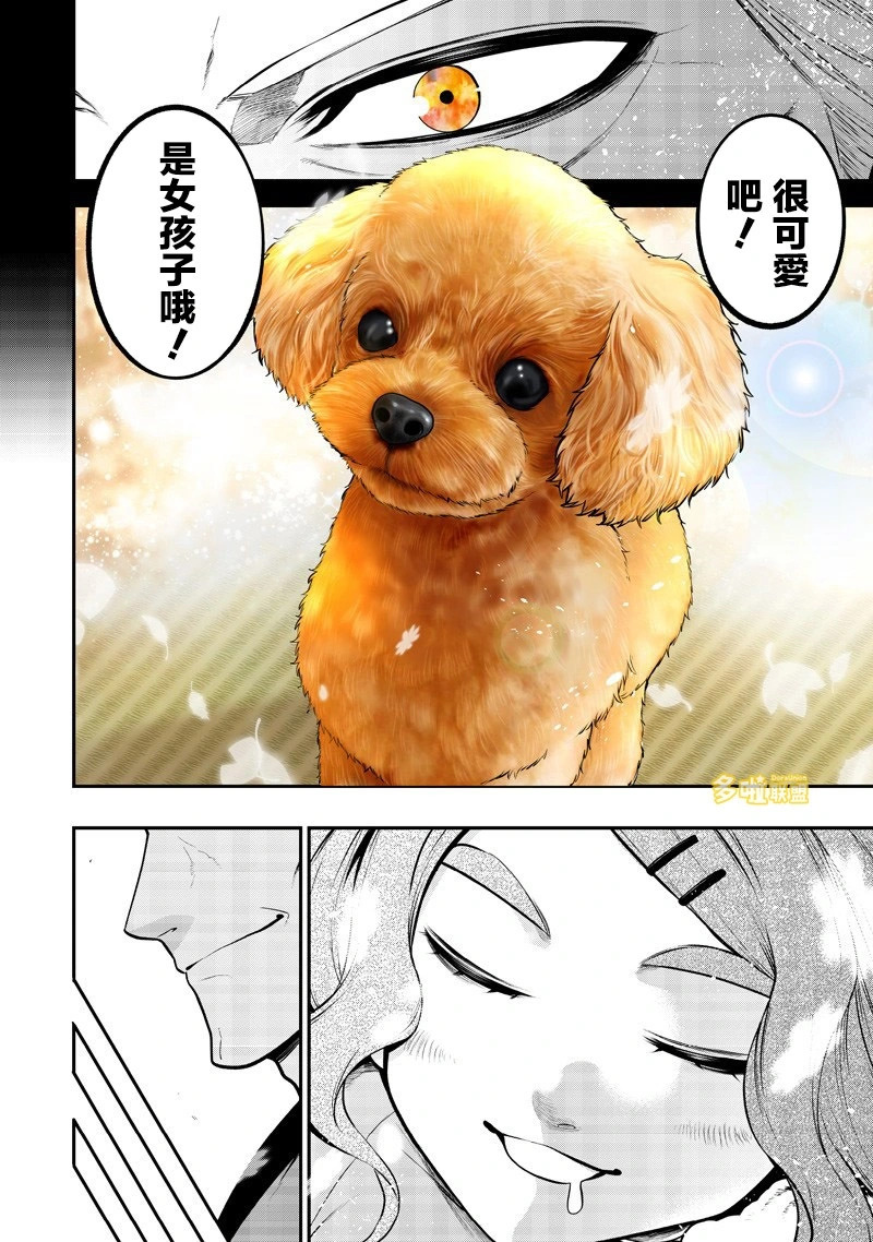 玩具贵宾犬生日篇 第8页