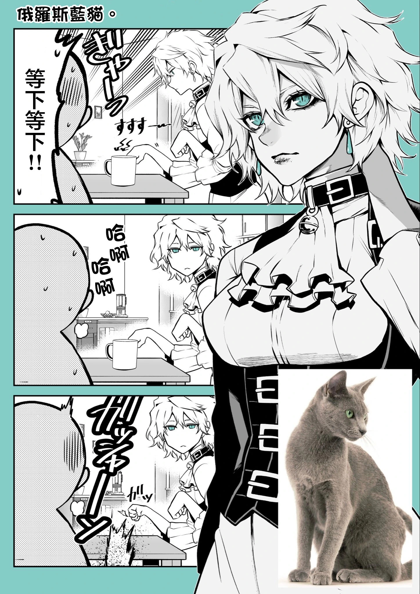 玩具贵宾犬生日篇 第12页