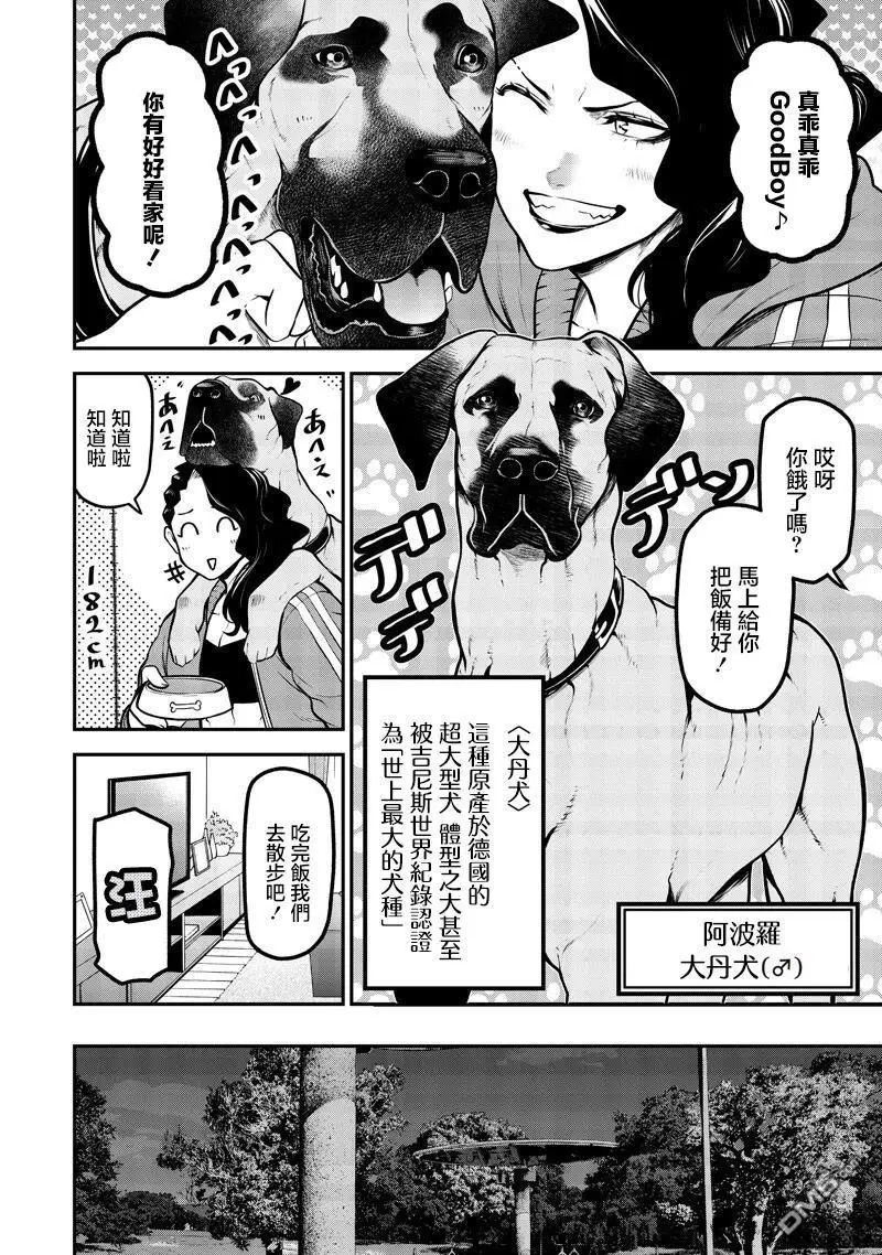 大丹犬篇 第4页