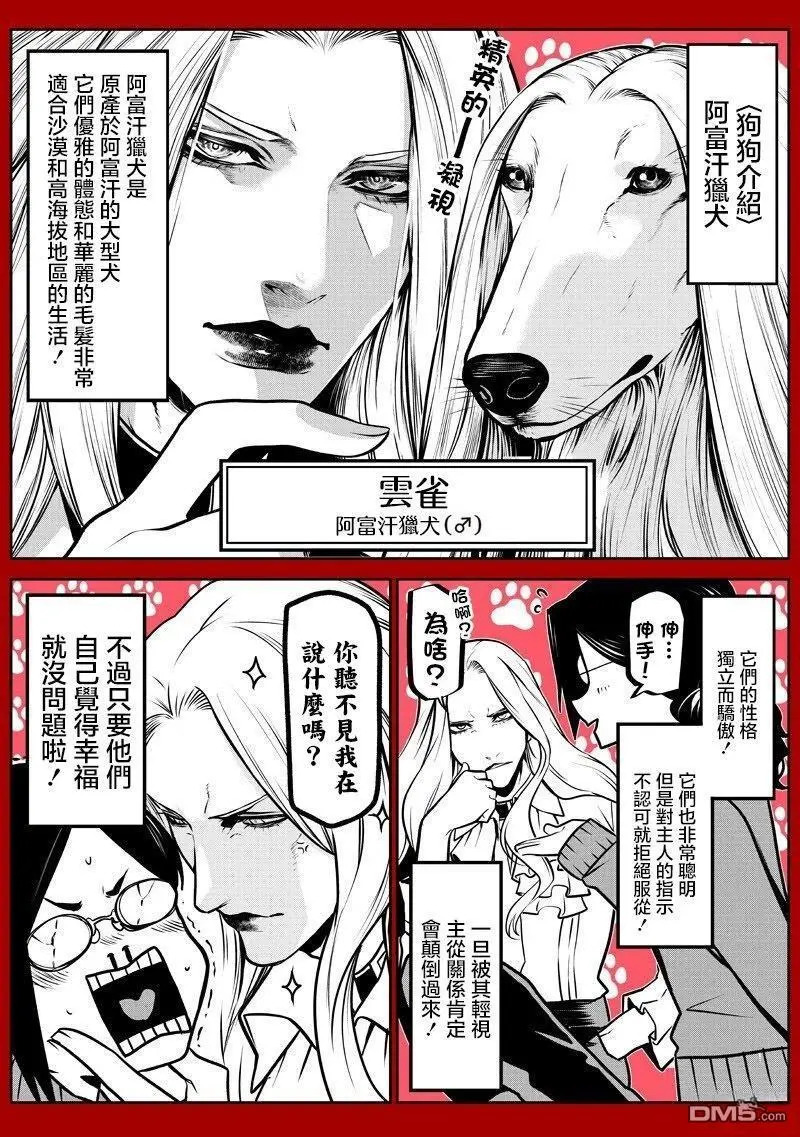 朵古兰的小型犬篇 第14页