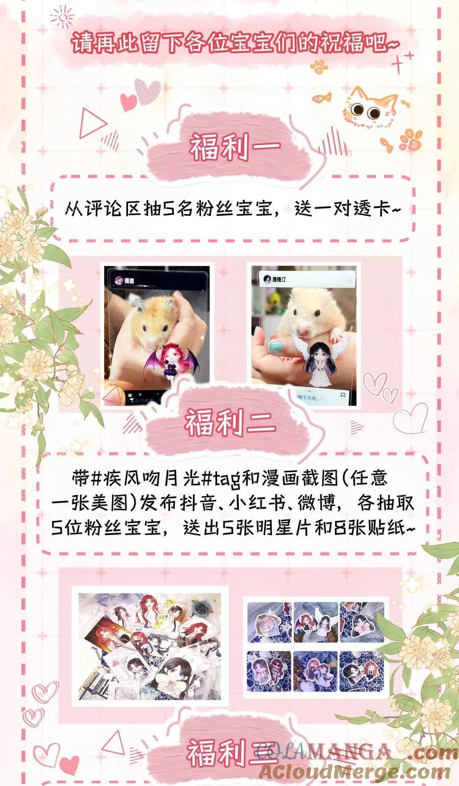 公告 官宣大吉 第2页