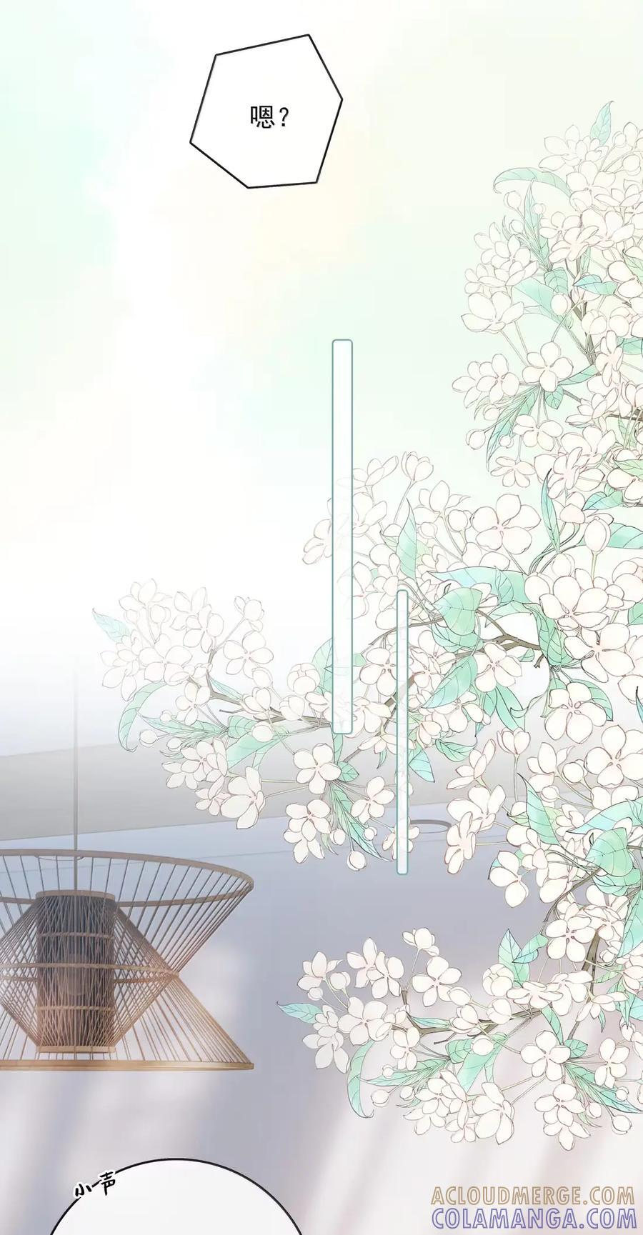058 综艺 第13页
