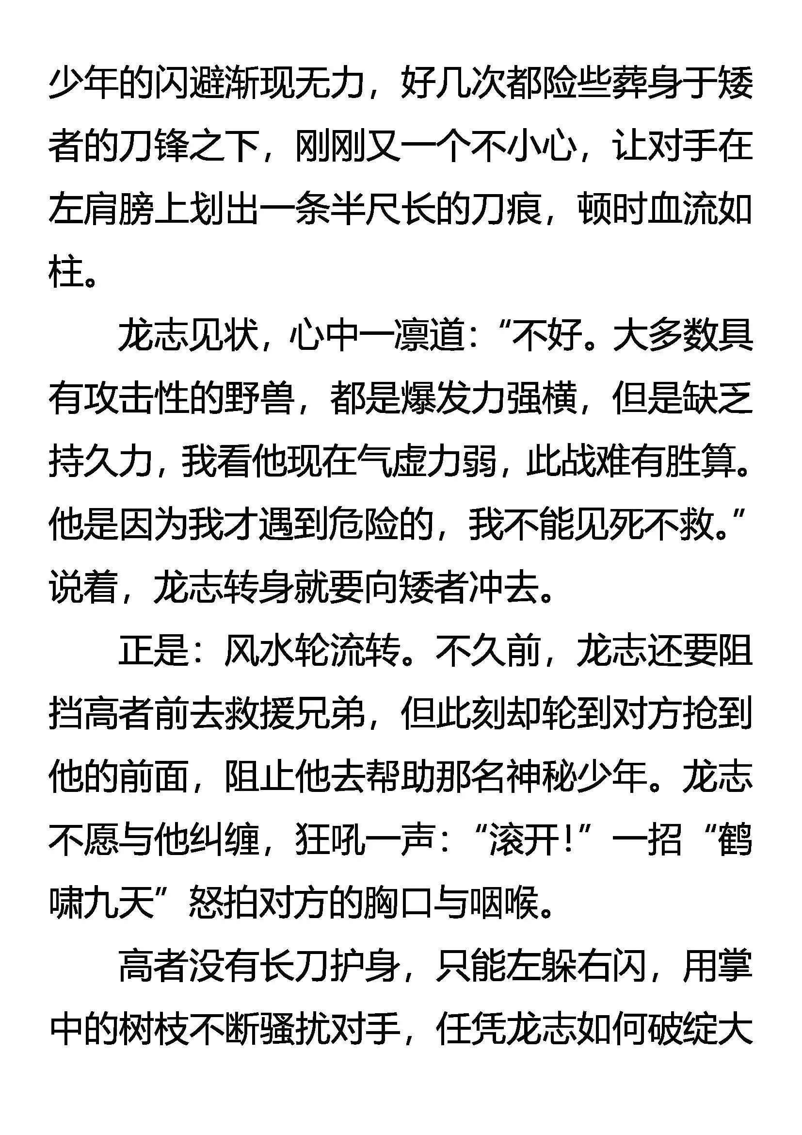 疯刀 猛兽 少年（下） 第15页