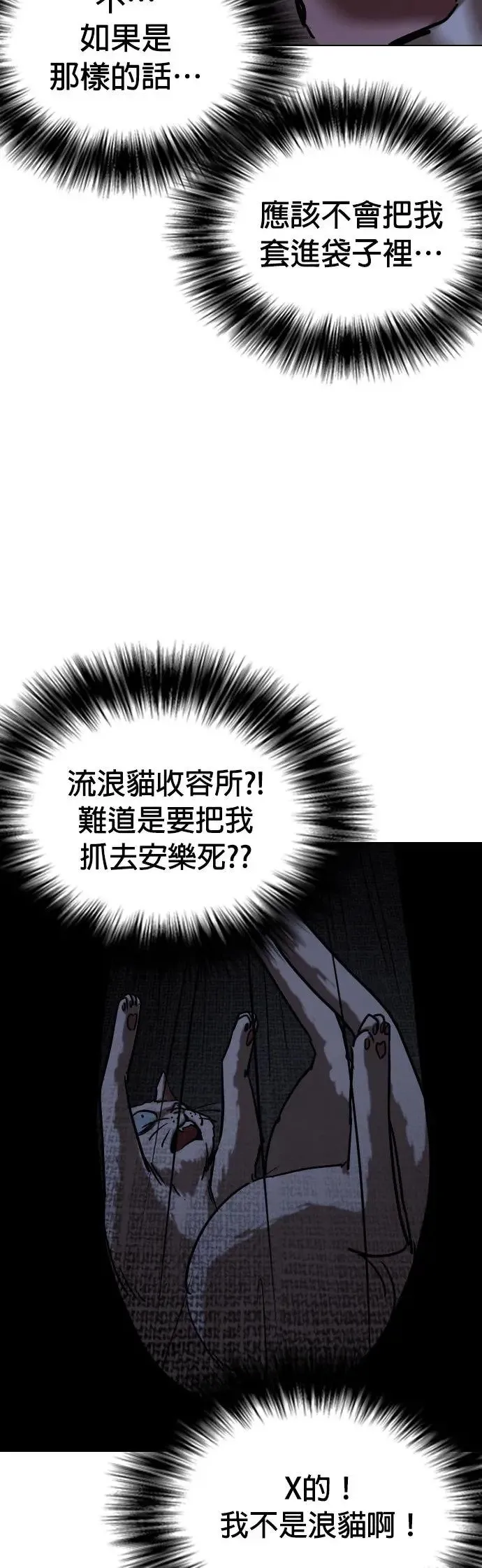第49话 变身猫咪(1)_猫咪 第41页