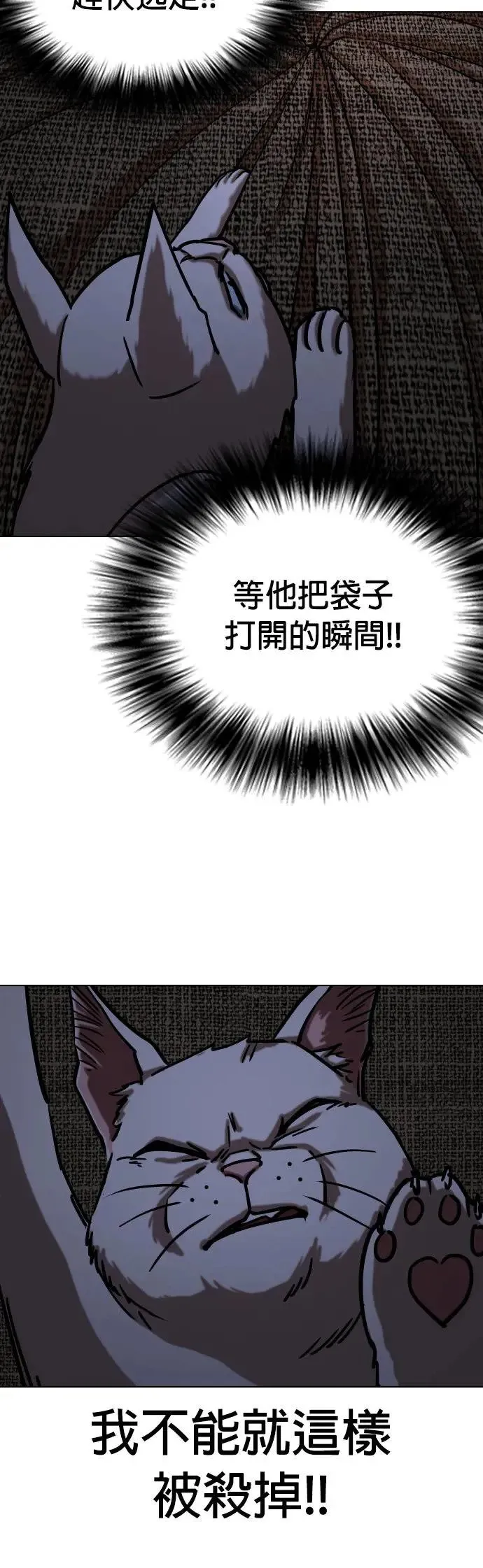 第49话 变身猫咪(1)_猫咪 第43页