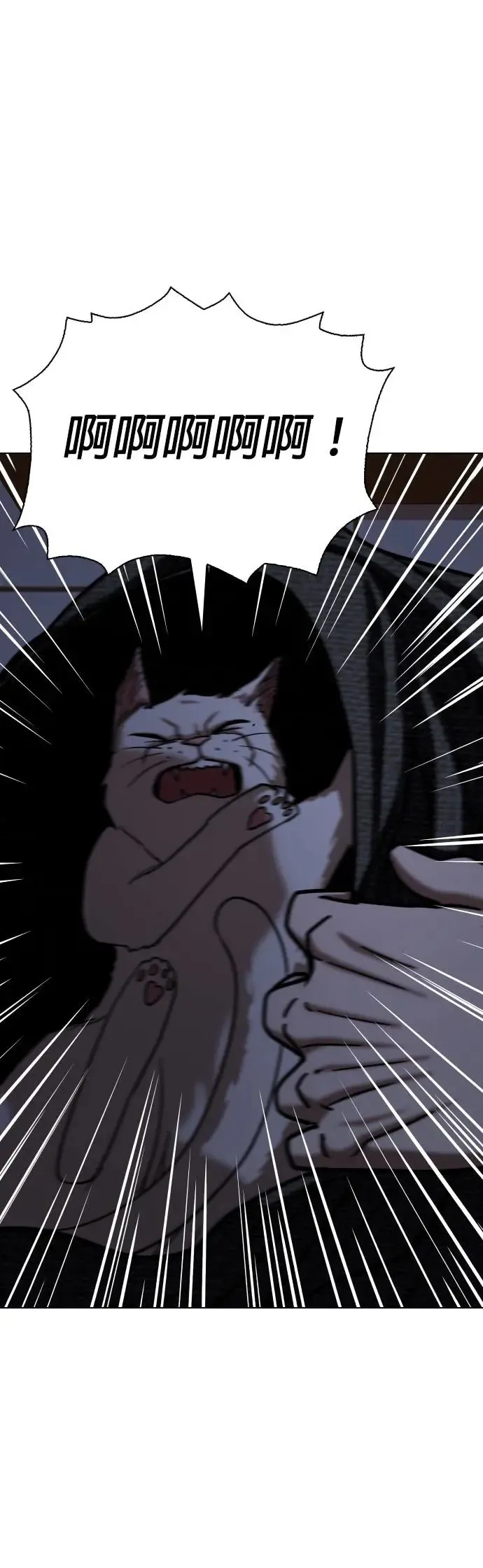 第49话 变身猫咪(1)_猫咪 第44页