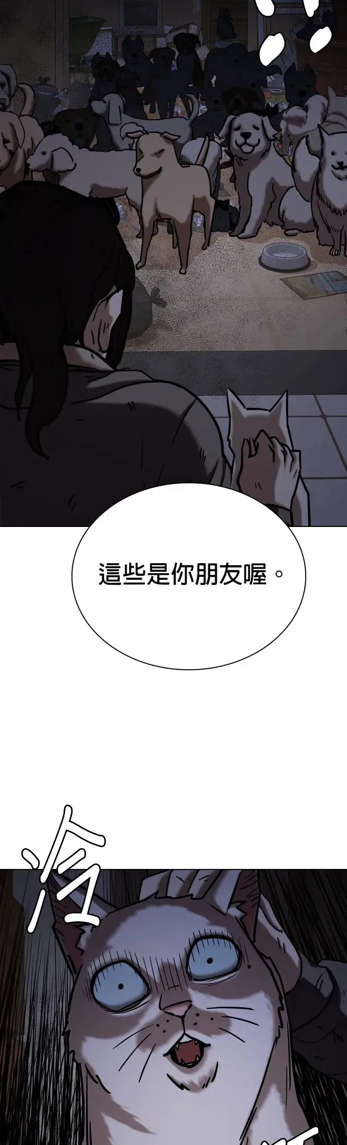 第49话 变身猫咪(1)_猫咪 第48页