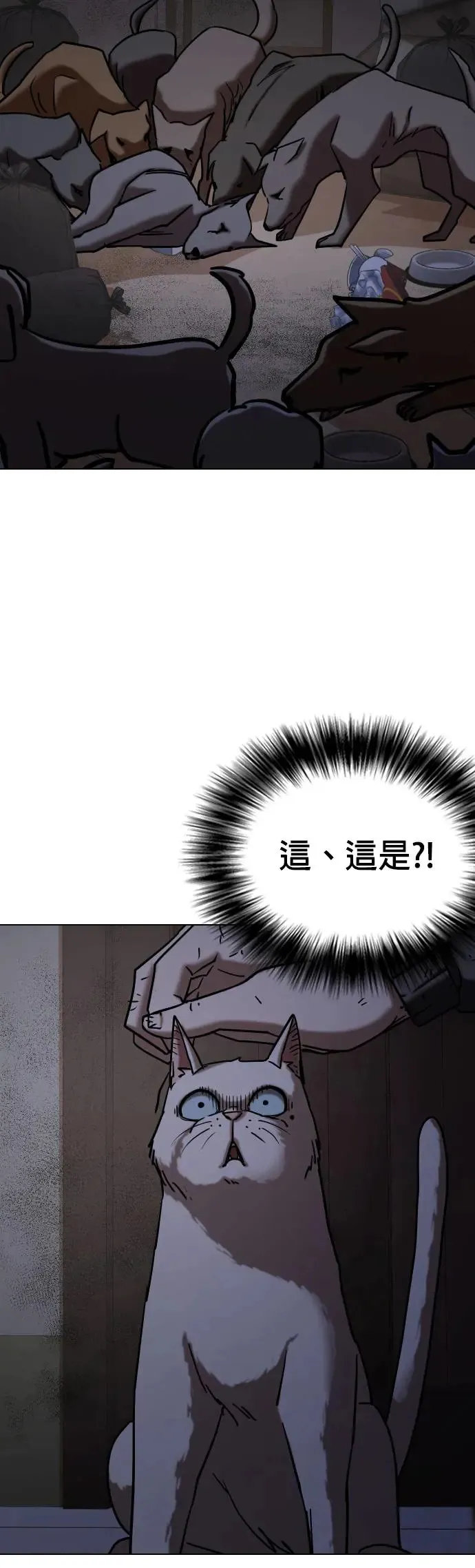 第49话 变身猫咪(1)_猫咪 第50页