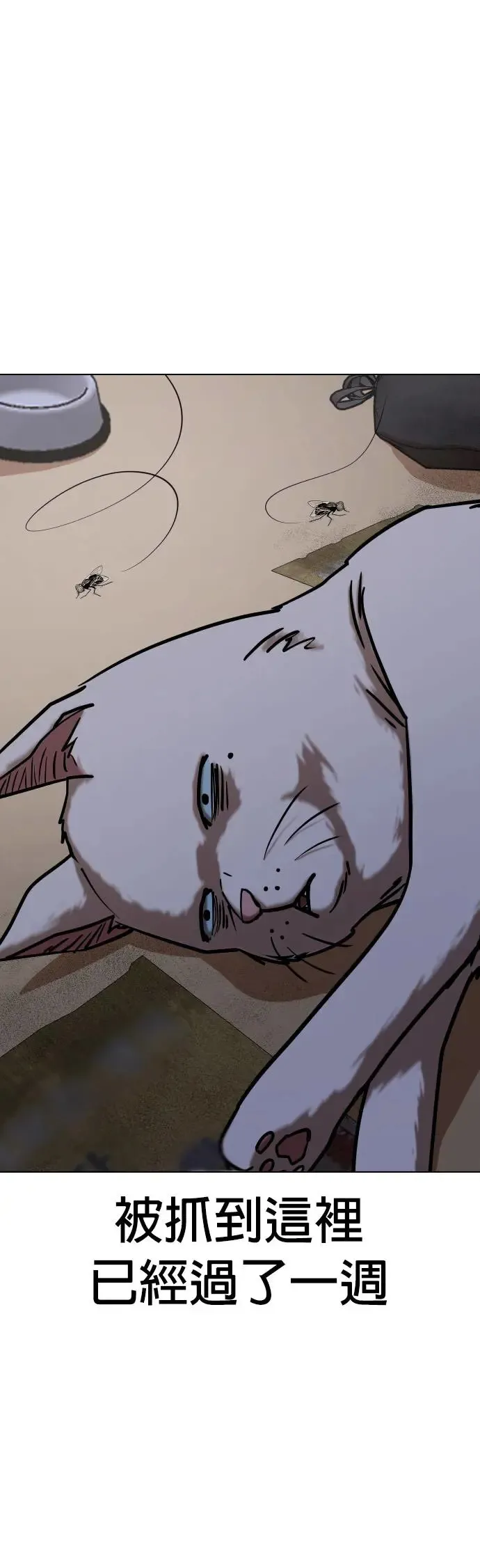 第49话 变身猫咪(1)_猫咪 第55页