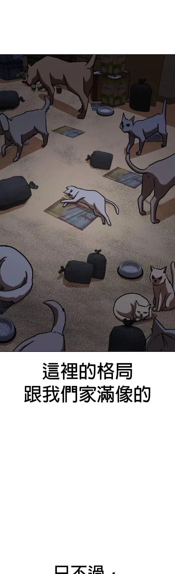 第49话 变身猫咪(1)_猫咪 第56页