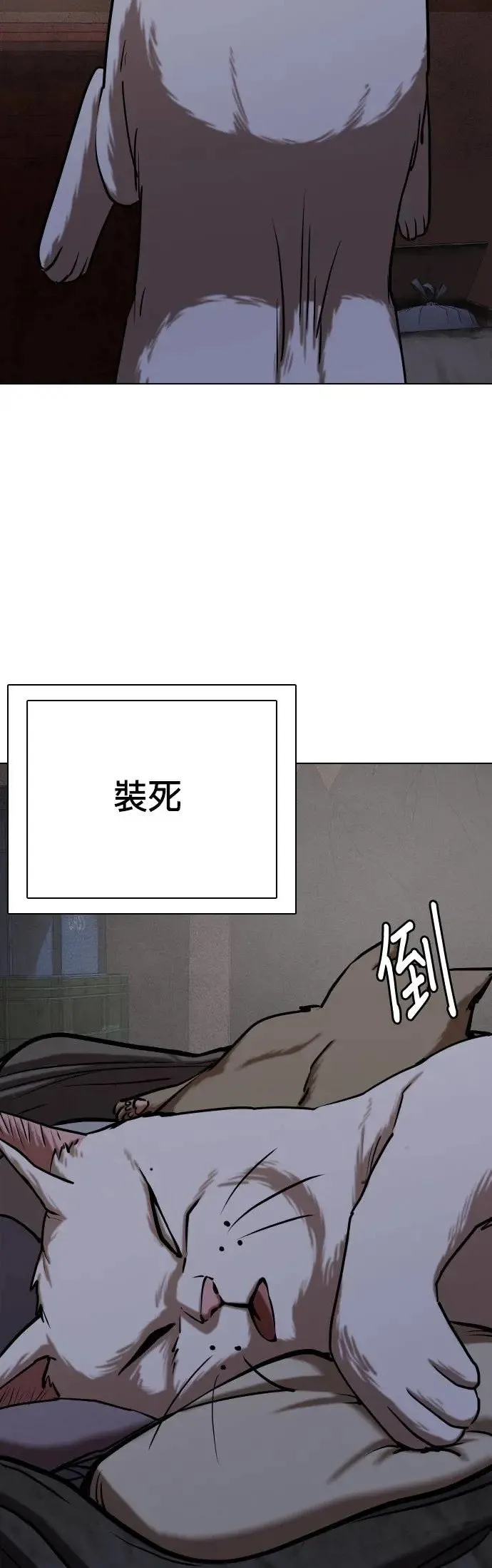 第50话 变身猫咪(2)_不可以色色 第25页