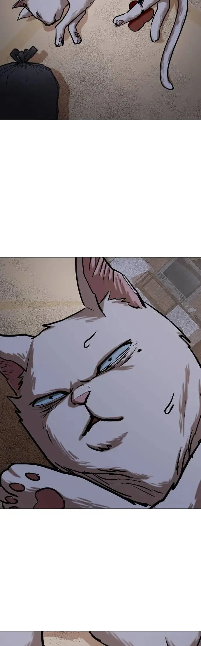 第50话 变身猫咪(2)_不可以色色 第36页