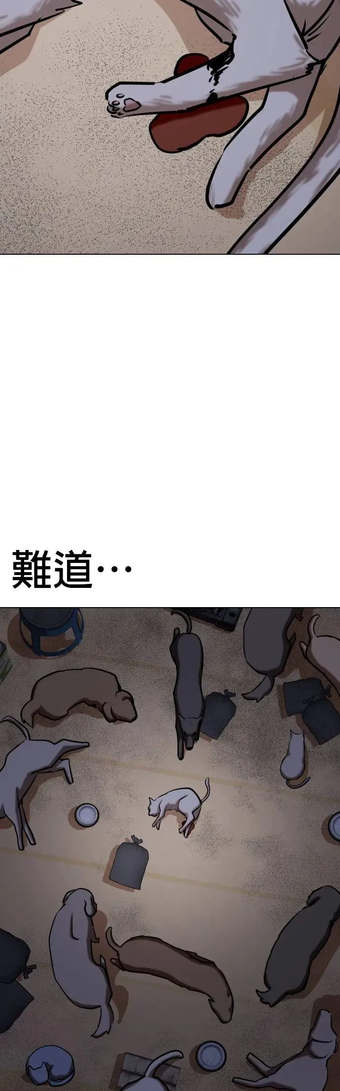 第50话 变身猫咪(2)_不可以色色 第37页