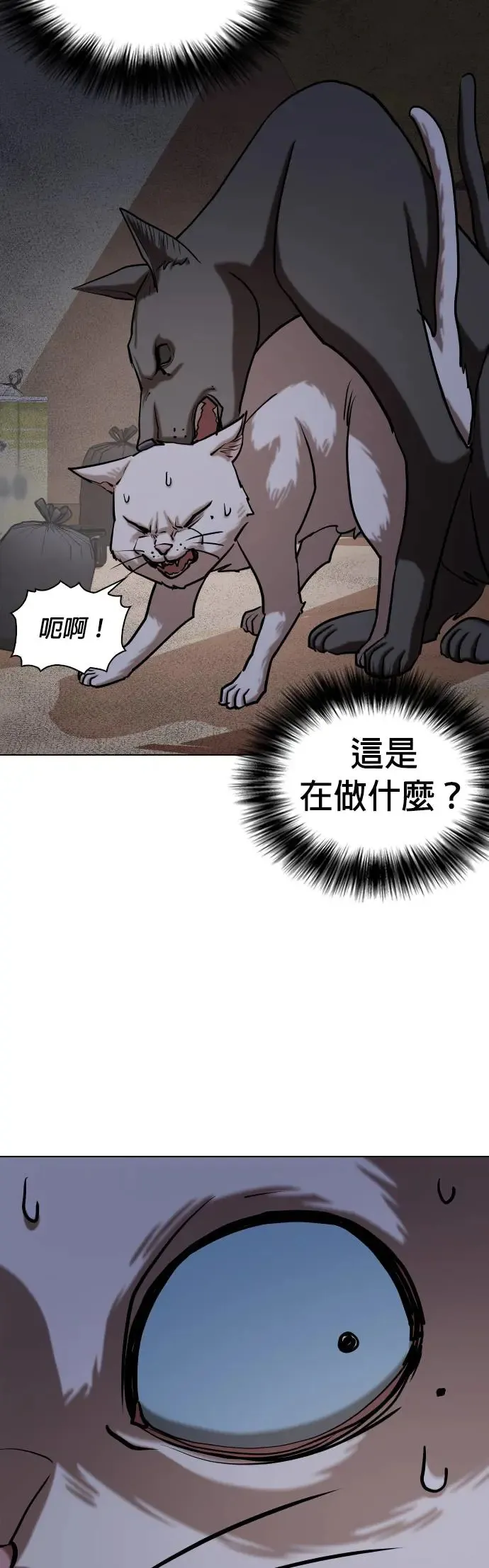 第50话 变身猫咪(2)_不可以色色 第39页