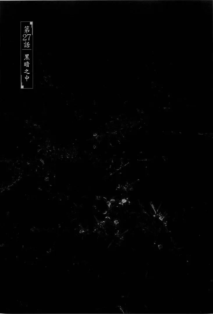 第09卷 第81页