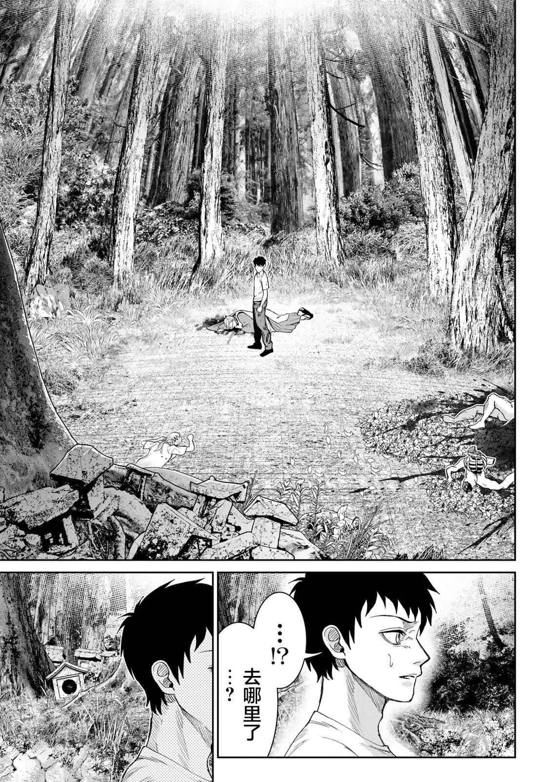 12 第21页