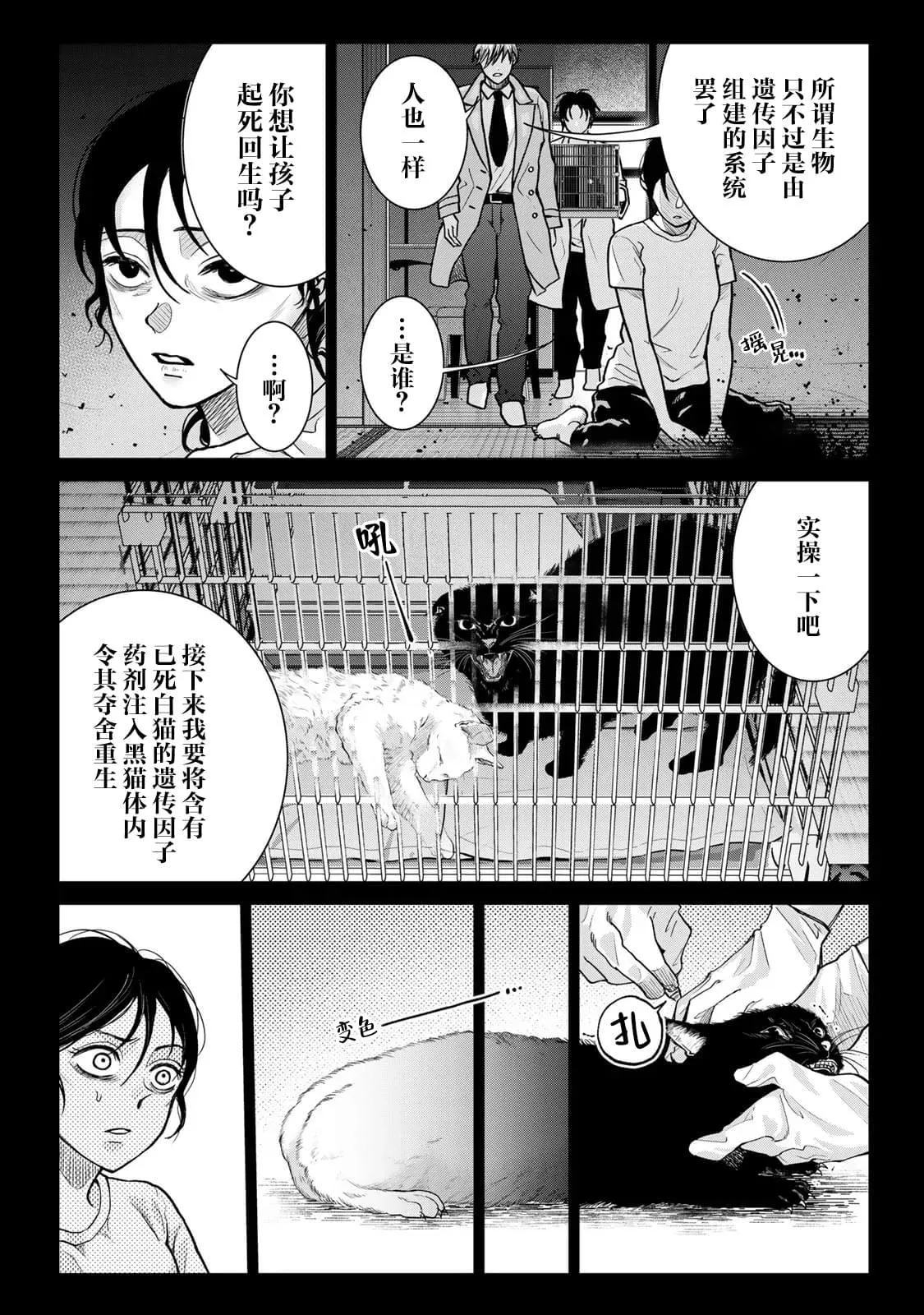 15 第6页