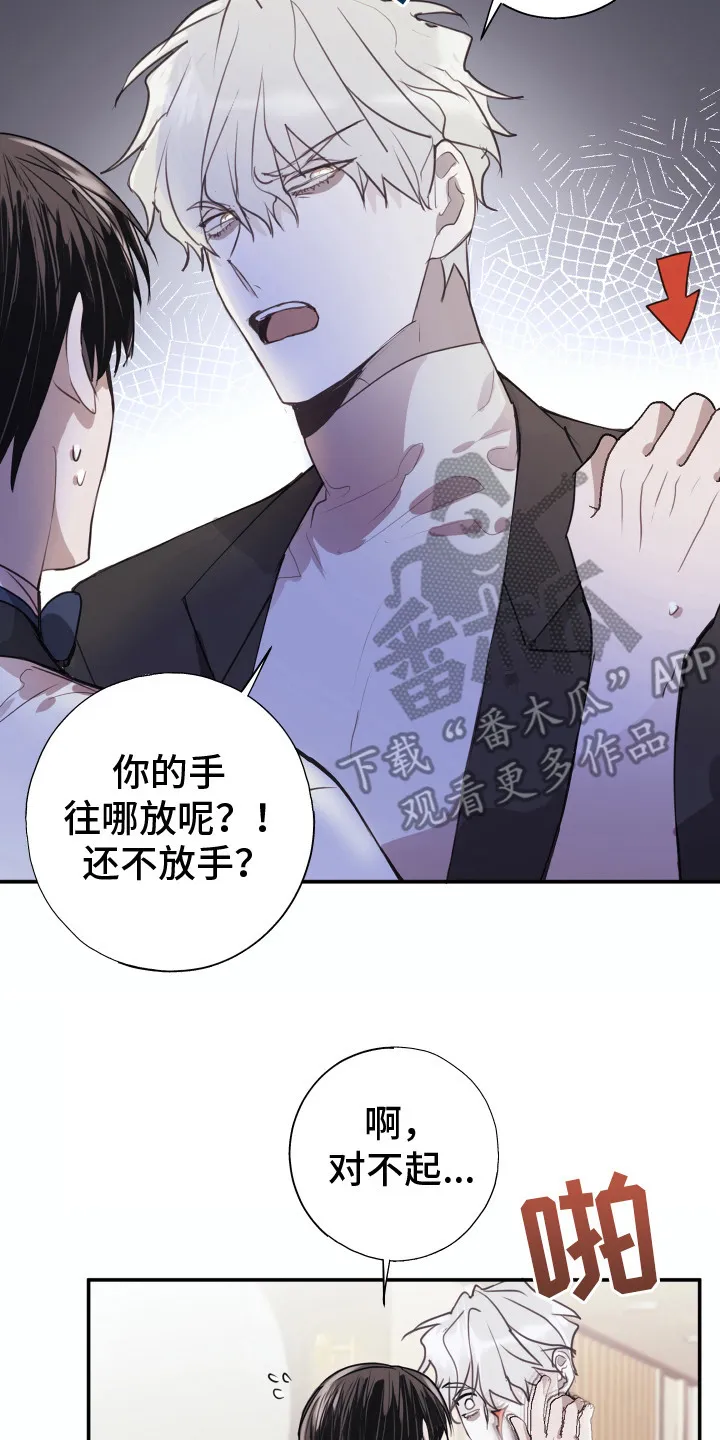 第3章：多管闲事 第17页