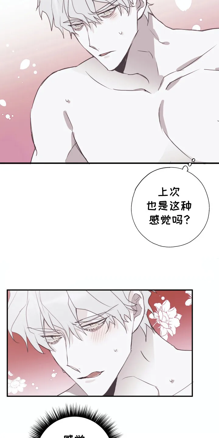 第5章：铭牌 第4页