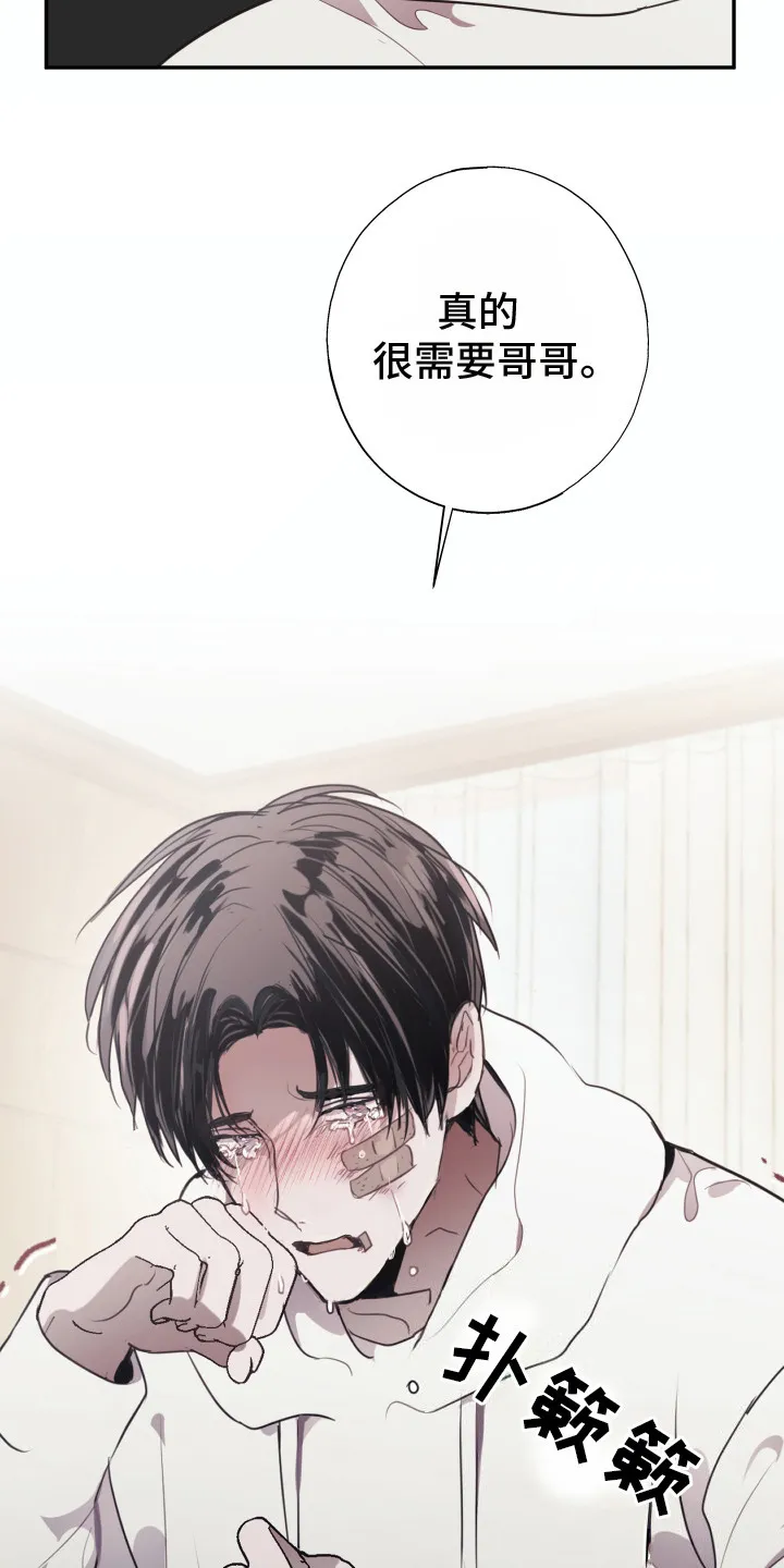 第7章：心酸 第19页