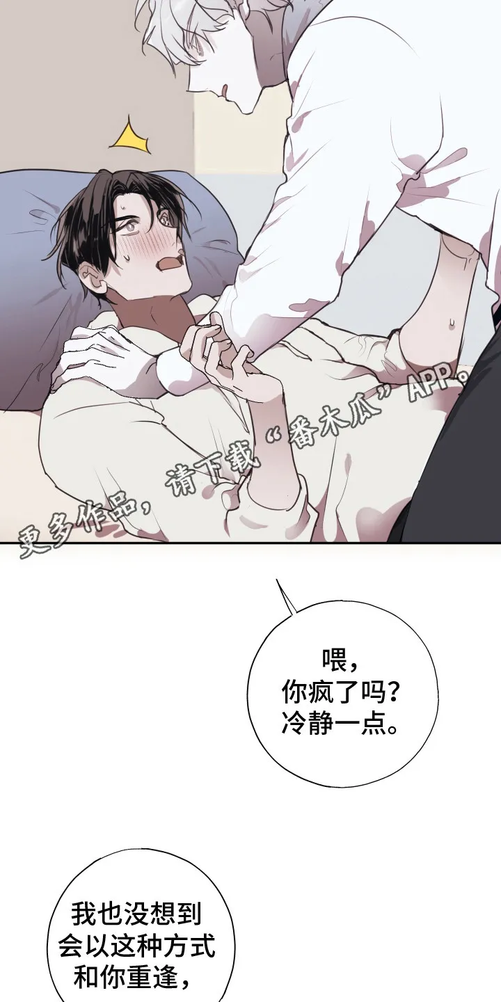 第10章：不会再错过 第11页