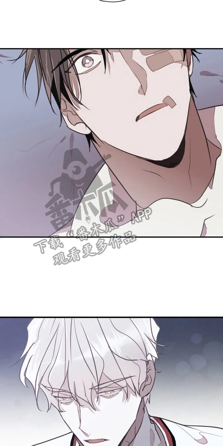 第10章：不会再错过 第17页