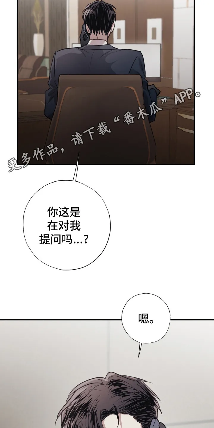 第15章：不管了 第5页