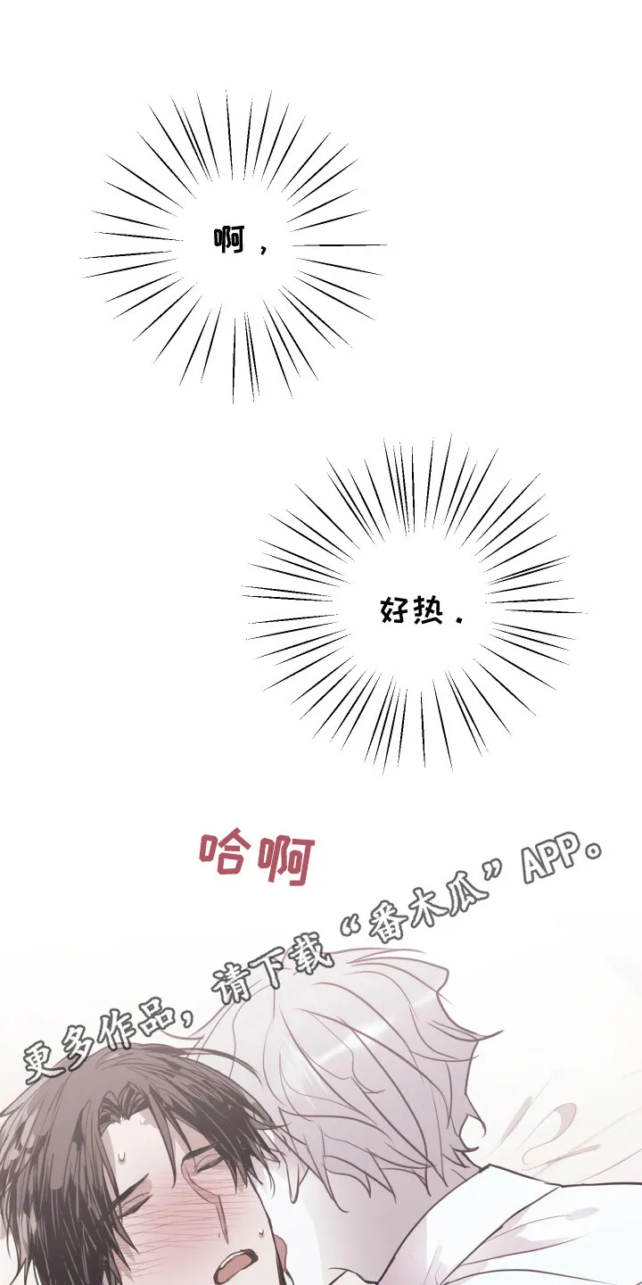 第15章：不管了 第12页