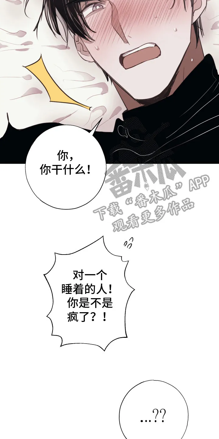 第15章：不管了 第21页