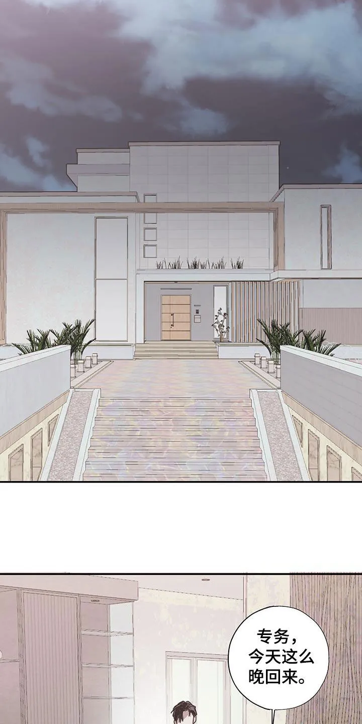 第19章：没用的东西 第20页