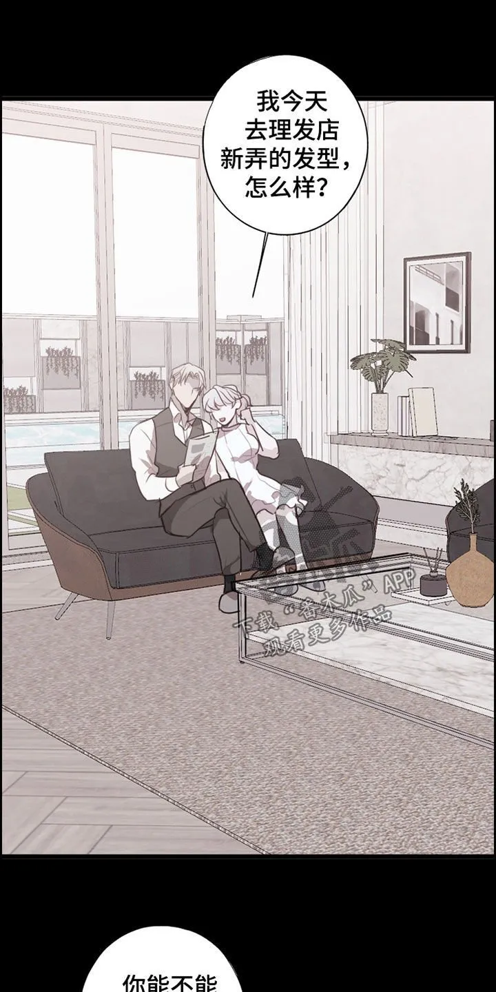 第38章：特别的 第6页