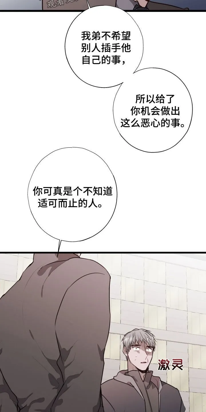 第41章：都解决了 第6页