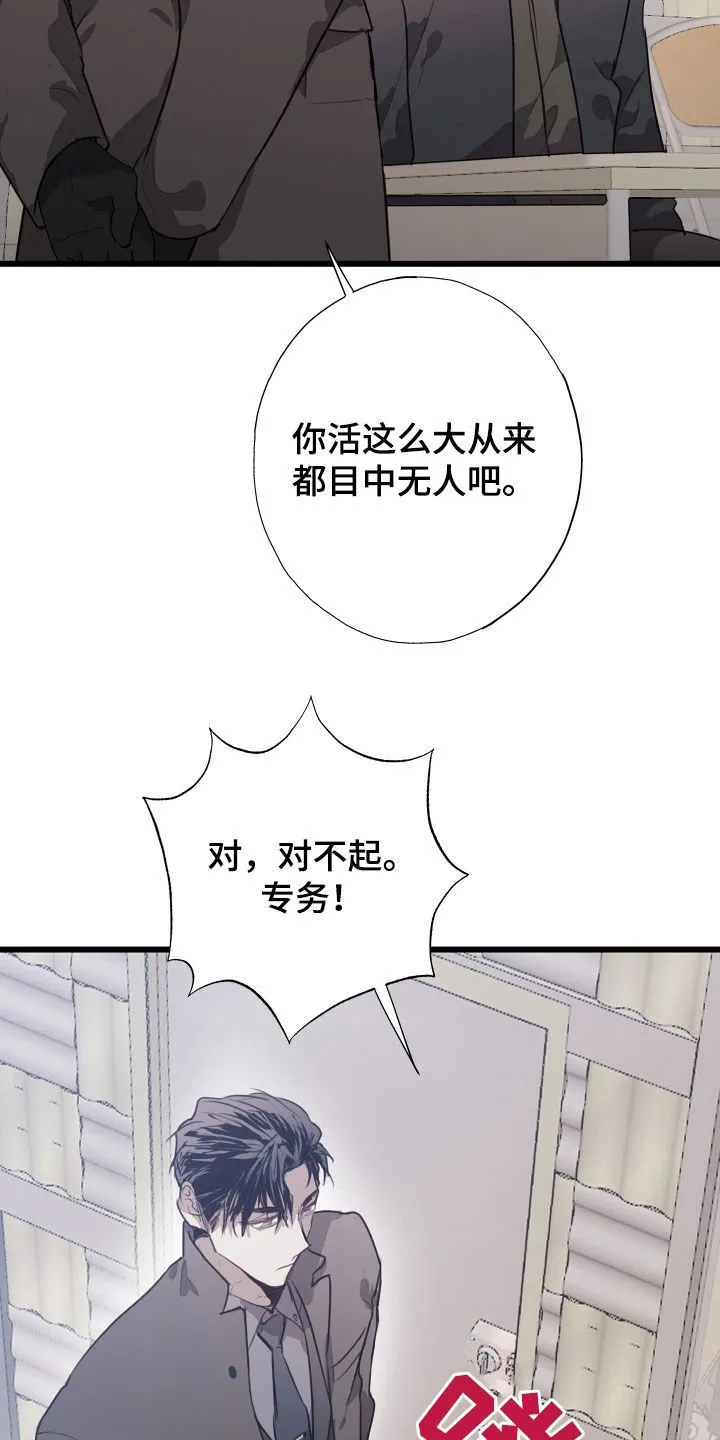 第41章：都解决了 第7页