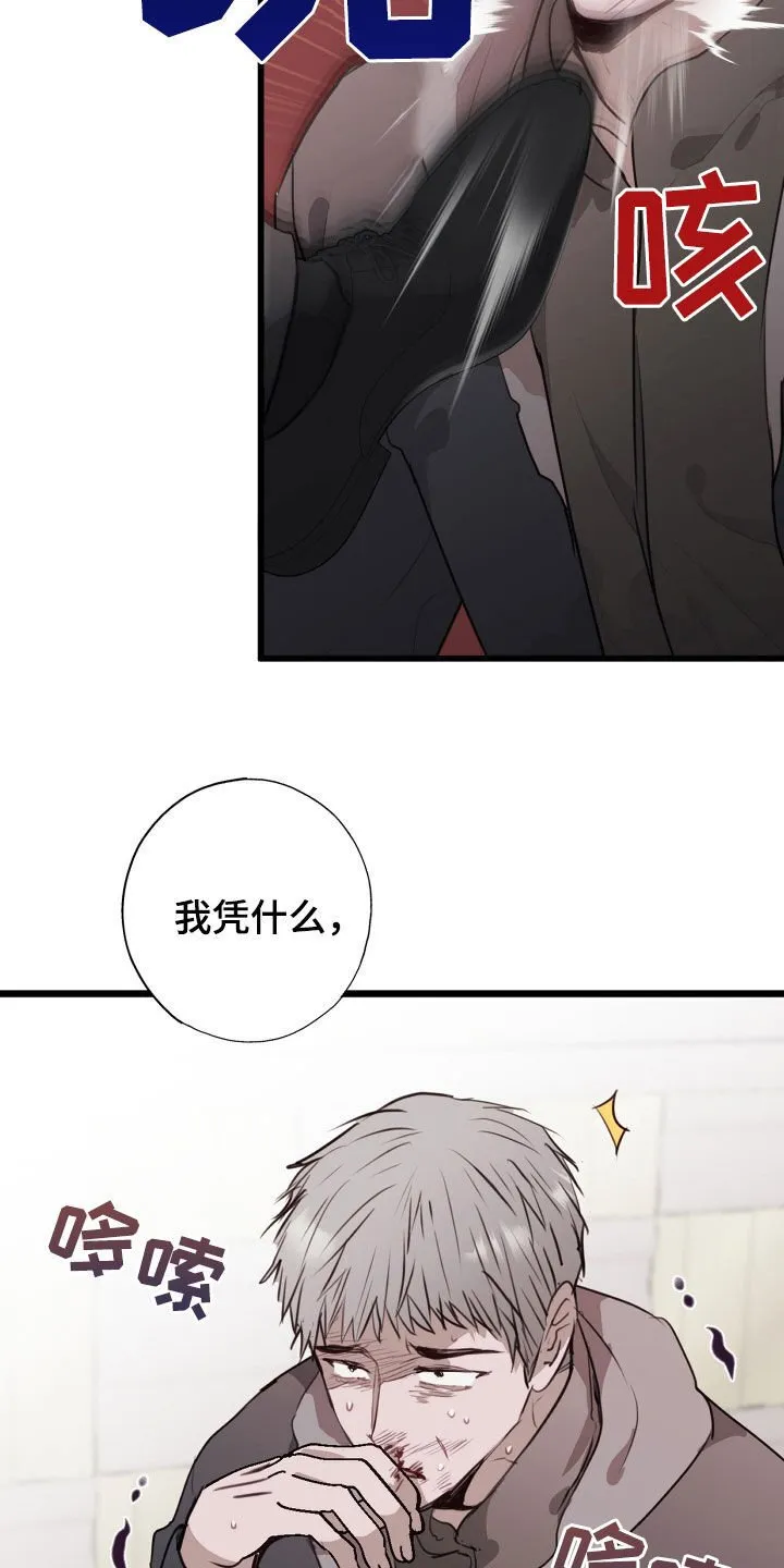 第41章：都解决了 第10页