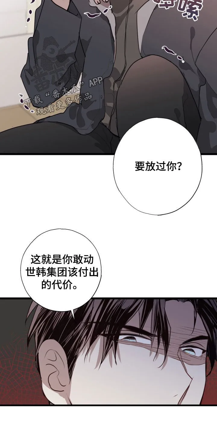 第41章：都解决了 第11页