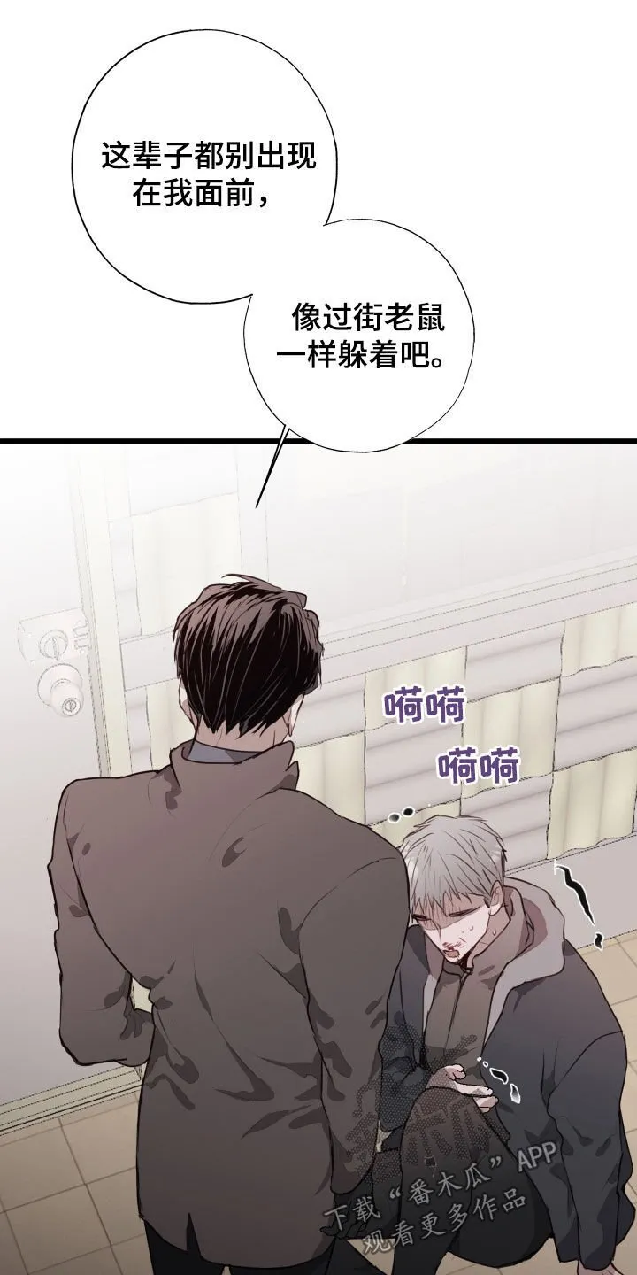 第41章：都解决了 第13页