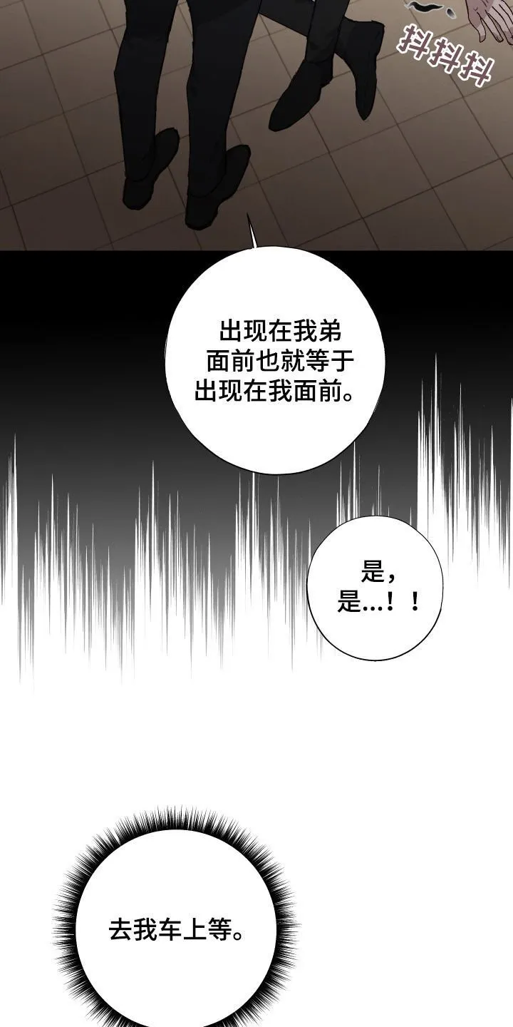 第41章：都解决了 第14页