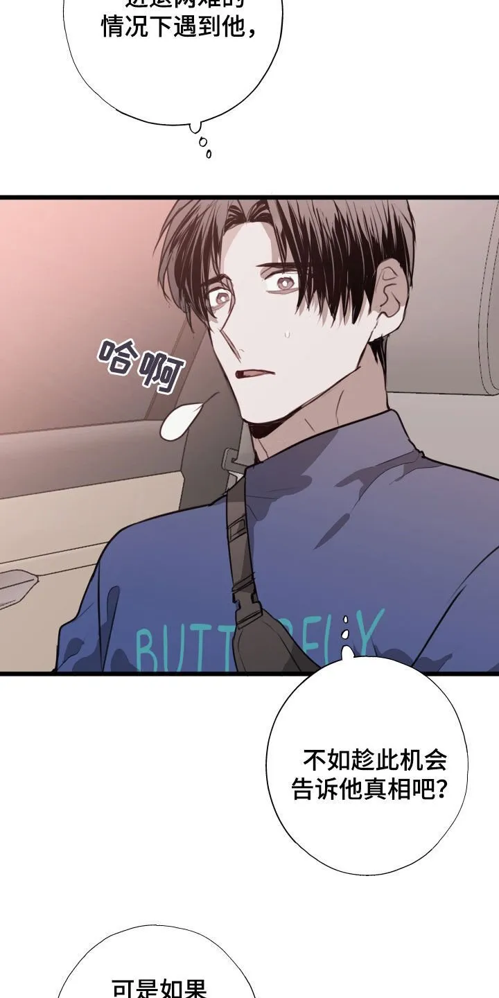 第41章：都解决了 第16页