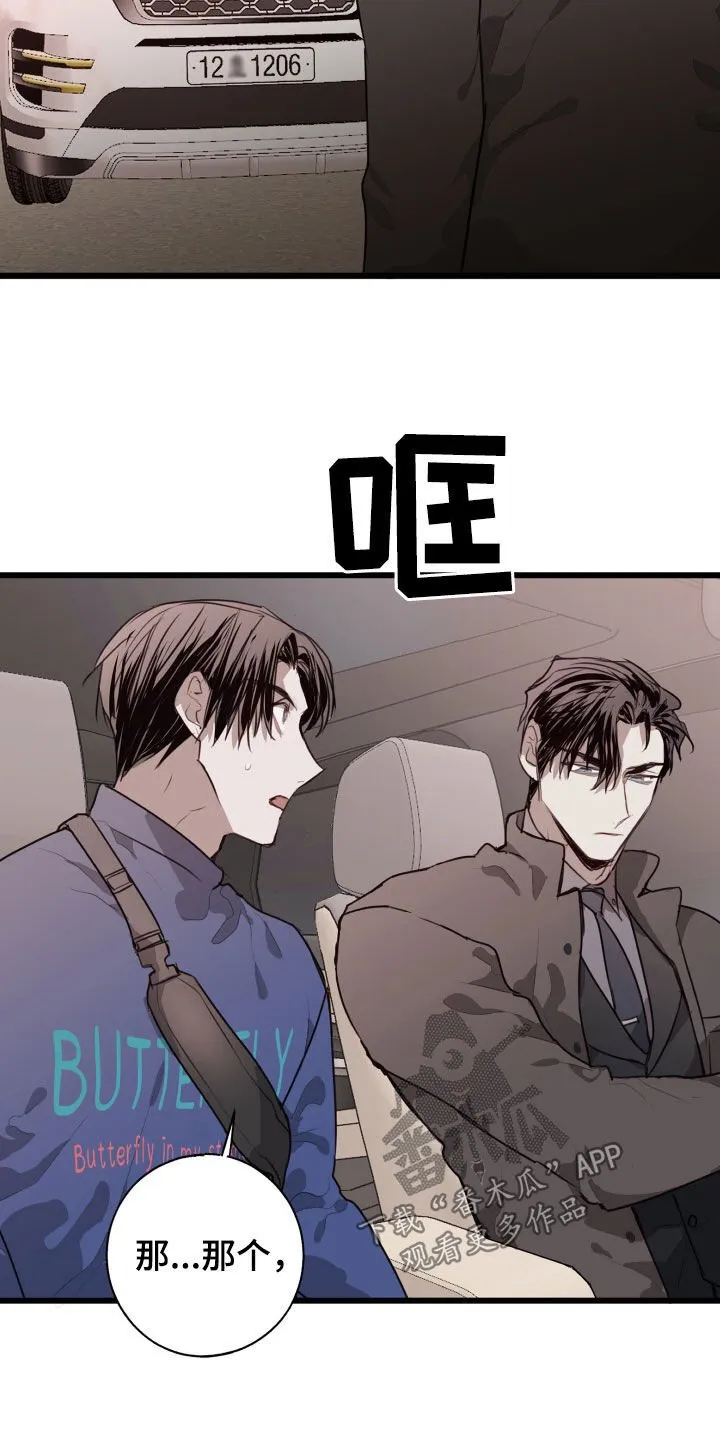 第41章：都解决了 第20页