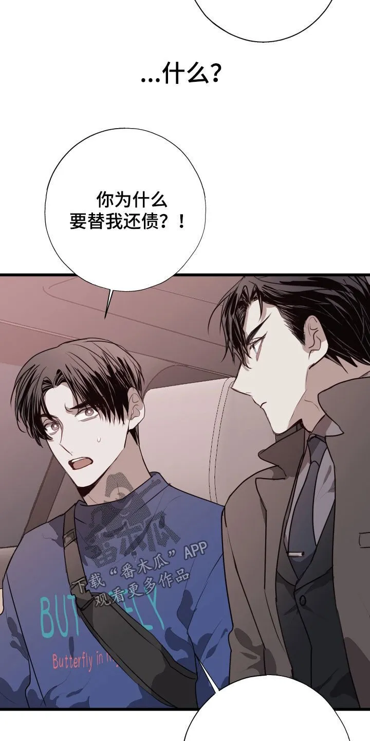 第41章：都解决了 第23页